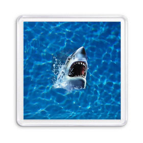 Магнит 55*55 с принтом Пасть акулы в Петрозаводске, Пластик | Размер: 65*65 мм; Размер печати: 55*55 мм | акула | атака | белая | брызги | вода | волны | зубы | капли | море | океан | опасность | синяя | челюсти | эффект
