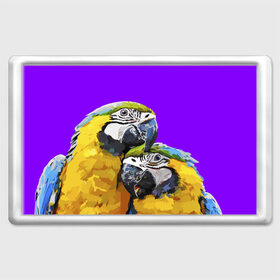 Магнит 45*70 с принтом Попугайчики в Петрозаводске, Пластик | Размер: 78*52 мм; Размер печати: 70*45 | bird | животные | попугайчики | птицы | текстуры