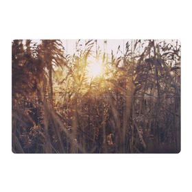 Магнитный плакат 3Х2 с принтом Солнце во ржи в Петрозаводске, Полимерный материал с магнитным слоем | 6 деталей размером 9*9 см | Тематика изображения на принте: восход | закат | лучи | поле | природа | растения | рож | солнце | тепло