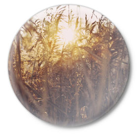 Значок с принтом Солнце во ржи в Петрозаводске,  металл | круглая форма, металлическая застежка в виде булавки | Тематика изображения на принте: восход | закат | лучи | поле | природа | растения | рож | солнце | тепло