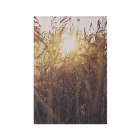 Обложка для паспорта матовая кожа с принтом Солнце во ржи в Петрозаводске, натуральная матовая кожа | размер 19,3 х 13,7 см; прозрачные пластиковые крепления | Тематика изображения на принте: восход | закат | лучи | поле | природа | растения | рож | солнце | тепло