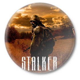 Значок с принтом Stalker в Петрозаводске,  металл | круглая форма, металлическая застежка в виде булавки | Тематика изображения на принте: stalker | сталкер