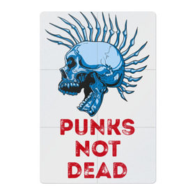 Магнитный плакат 2Х3 с принтом Punks not dead в Петрозаводске, Полимерный материал с магнитным слоем | 6 деталей размером 9*9 см | music | punk | rock | skull | музыка | панк | рок | череп | черепа