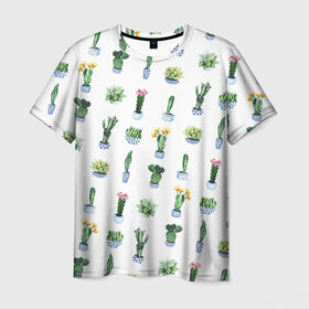 Мужская футболка 3D с принтом Кактусы в Петрозаводске, 100% полиэфир | прямой крой, круглый вырез горловины, длина до линии бедер | горшок | зеленый | кактус | принт | растение | флора | цветы