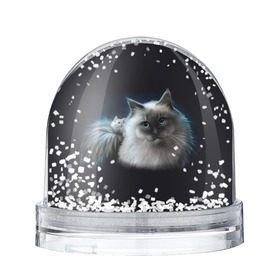 Водяной шар с принтом Кошка и мышка в Петрозаводске, Пластик | Изображение внутри шара печатается на глянцевой фотобумаге с двух сторон | друг | друзья | животное | кот | кошка | мышка | мышь | природа