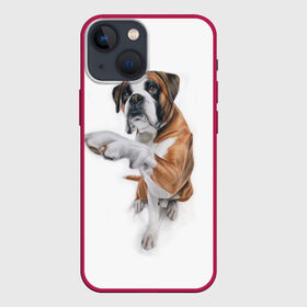 Чехол для iPhone 13 mini с принтом Боксер в Петрозаводске,  |  | боксер | друг | дружба | животное | пес | собака