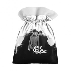 Подарочный 3D мешок с принтом Группа Arctic Monkeys в Петрозаводске, 100% полиэстер | Размер: 29*39 см | arctic monkeys обезьянка