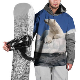 Накидка на куртку 3D с принтом Арктика в Петрозаводске, 100% полиэстер |  | animals | bear | ice | nature | polar bear | power | travel | белый медведь | животные | лёд | медведь | природа | путешествия | сила | снег