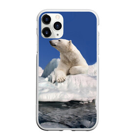 Чехол для iPhone 11 Pro матовый с принтом Арктика в Петрозаводске, Силикон |  | animals | bear | ice | nature | polar bear | power | travel | белый медведь | животные | лёд | медведь | природа | путешествия | сила | снег