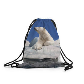 Рюкзак-мешок 3D с принтом Арктика в Петрозаводске, 100% полиэстер | плотность ткани — 200 г/м2, размер — 35 х 45 см; лямки — толстые шнурки, застежка на шнуровке, без карманов и подкладки | animals | bear | ice | nature | polar bear | power | travel | белый медведь | животные | лёд | медведь | природа | путешествия | сила | снег