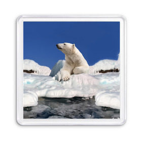 Магнит 55*55 с принтом Арктика в Петрозаводске, Пластик | Размер: 65*65 мм; Размер печати: 55*55 мм | animals | bear | ice | nature | polar bear | power | travel | белый медведь | животные | лёд | медведь | природа | путешествия | сила | снег