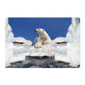 Магнитный плакат 3Х2 с принтом Арктика в Петрозаводске, Полимерный материал с магнитным слоем | 6 деталей размером 9*9 см | Тематика изображения на принте: animals | bear | ice | nature | polar bear | power | travel | белый медведь | животные | лёд | медведь | природа | путешествия | сила | снег