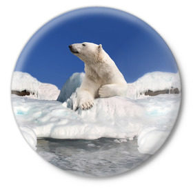 Значок с принтом Арктика в Петрозаводске,  металл | круглая форма, металлическая застежка в виде булавки | animals | bear | ice | nature | polar bear | power | travel | белый медведь | животные | лёд | медведь | природа | путешествия | сила | снег