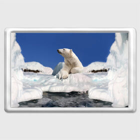 Магнит 45*70 с принтом Арктика в Петрозаводске, Пластик | Размер: 78*52 мм; Размер печати: 70*45 | animals | bear | ice | nature | polar bear | power | travel | белый медведь | животные | лёд | медведь | природа | путешествия | сила | снег