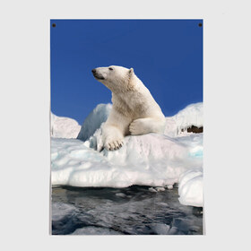 Постер с принтом Арктика в Петрозаводске, 100% бумага
 | бумага, плотность 150 мг. Матовая, но за счет высокого коэффициента гладкости имеет небольшой блеск и дает на свету блики, но в отличии от глянцевой бумаги не покрыта лаком | animals | bear | ice | nature | polar bear | power | travel | белый медведь | животные | лёд | медведь | природа | путешествия | сила | снег