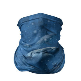 Бандана-труба 3D с принтом Shark в Петрозаводске, 100% полиэстер, ткань с особыми свойствами — Activecool | плотность 150‒180 г/м2; хорошо тянется, но сохраняет форму | fish | ocean | акула | вода | животные | море | океан | рыба | челюсти