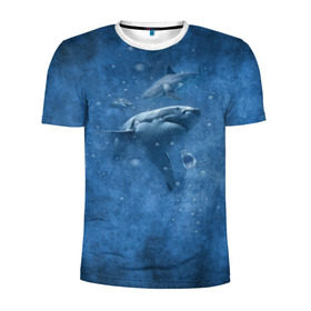 Мужская футболка 3D спортивная с принтом Shark в Петрозаводске, 100% полиэстер с улучшенными характеристиками | приталенный силуэт, круглая горловина, широкие плечи, сужается к линии бедра | Тематика изображения на принте: fish | ocean | акула | вода | животные | море | океан | рыба | челюсти