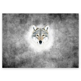 Поздравительная открытка с принтом Wolf в Петрозаводске, 100% бумага | плотность бумаги 280 г/м2, матовая, на обратной стороне линовка и место для марки
 | Тематика изображения на принте: animal | snow | волк | животные | снег | хищник