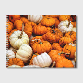 Альбом для рисования с принтом тыквы в Петрозаводске, 100% бумага
 | матовая бумага, плотность 200 мг. | halloween | дача | овощи | октябрь | оранжевый | осень | сентябрь | тыква | хеллуин