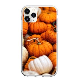 Чехол для iPhone 11 Pro матовый с принтом тыквы в Петрозаводске, Силикон |  | halloween | дача | овощи | октябрь | оранжевый | осень | сентябрь | тыква | хеллуин