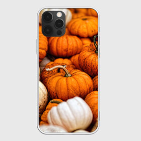 Чехол для iPhone 12 Pro Max с принтом тыквы в Петрозаводске, Силикон |  | halloween | дача | овощи | октябрь | оранжевый | осень | сентябрь | тыква | хеллуин