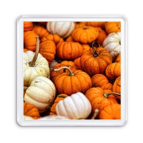 Магнит 55*55 с принтом тыквы в Петрозаводске, Пластик | Размер: 65*65 мм; Размер печати: 55*55 мм | halloween | дача | овощи | октябрь | оранжевый | осень | сентябрь | тыква | хеллуин