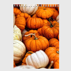 Скетчбук с принтом тыквы в Петрозаводске, 100% бумага
 | 48 листов, плотность листов — 100 г/м2, плотность картонной обложки — 250 г/м2. Листы скреплены сверху удобной пружинной спиралью | halloween | дача | овощи | октябрь | оранжевый | осень | сентябрь | тыква | хеллуин