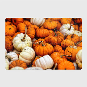 Магнитный плакат 3Х2 с принтом тыквы в Петрозаводске, Полимерный материал с магнитным слоем | 6 деталей размером 9*9 см | halloween | дача | овощи | октябрь | оранжевый | осень | сентябрь | тыква | хеллуин
