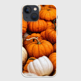 Чехол для iPhone 13 mini с принтом тыквы в Петрозаводске,  |  | halloween | дача | овощи | октябрь | оранжевый | осень | сентябрь | тыква | хеллуин