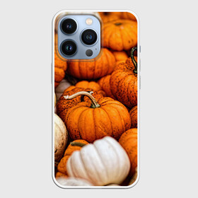 Чехол для iPhone 13 Pro с принтом тыквы в Петрозаводске,  |  | halloween | дача | овощи | октябрь | оранжевый | осень | сентябрь | тыква | хеллуин