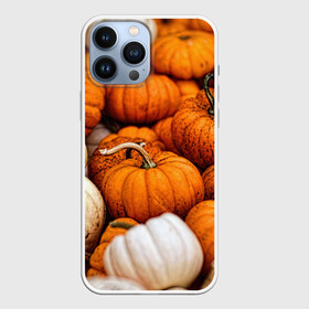 Чехол для iPhone 13 Pro Max с принтом тыквы в Петрозаводске,  |  | halloween | дача | овощи | октябрь | оранжевый | осень | сентябрь | тыква | хеллуин