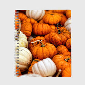 Тетрадь с принтом тыквы в Петрозаводске, 100% бумага | 48 листов, плотность листов — 60 г/м2, плотность картонной обложки — 250 г/м2. Листы скреплены сбоку удобной пружинной спиралью. Уголки страниц и обложки скругленные. Цвет линий — светло-серый
 | halloween | дача | овощи | октябрь | оранжевый | осень | сентябрь | тыква | хеллуин