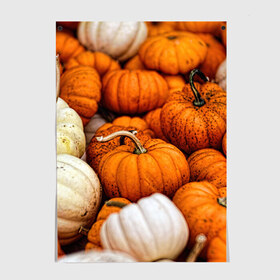 Постер с принтом тыквы в Петрозаводске, 100% бумага
 | бумага, плотность 150 мг. Матовая, но за счет высокого коэффициента гладкости имеет небольшой блеск и дает на свету блики, но в отличии от глянцевой бумаги не покрыта лаком | halloween | дача | овощи | октябрь | оранжевый | осень | сентябрь | тыква | хеллуин