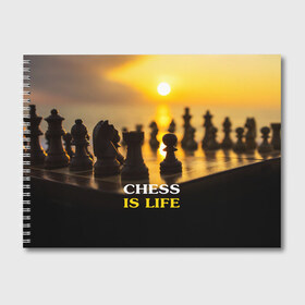 Альбом для рисования с принтом Шахматы - это жизнь в Петрозаводске, 100% бумага
 | матовая бумага, плотность 200 мг. | chess | game | sport | гроссмейстер | закат | игра | интеллект | солнце | спорт | фигура | шахматист | шахматы