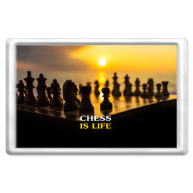 Магнит 45*70 с принтом Шахматы - это жизнь в Петрозаводске, Пластик | Размер: 78*52 мм; Размер печати: 70*45 | Тематика изображения на принте: chess | game | sport | гроссмейстер | закат | игра | интеллект | солнце | спорт | фигура | шахматист | шахматы