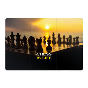 Магнитный плакат 3Х2 с принтом Шахматы - это жизнь в Петрозаводске, Полимерный материал с магнитным слоем | 6 деталей размером 9*9 см | Тематика изображения на принте: chess | game | sport | гроссмейстер | закат | игра | интеллект | солнце | спорт | фигура | шахматист | шахматы