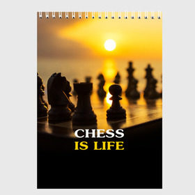 Скетчбук с принтом Шахматы - это жизнь в Петрозаводске, 100% бумага
 | 48 листов, плотность листов — 100 г/м2, плотность картонной обложки — 250 г/м2. Листы скреплены сверху удобной пружинной спиралью | Тематика изображения на принте: chess | game | sport | гроссмейстер | закат | игра | интеллект | солнце | спорт | фигура | шахматист | шахматы