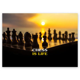 Поздравительная открытка с принтом Шахматы - это жизнь в Петрозаводске, 100% бумага | плотность бумаги 280 г/м2, матовая, на обратной стороне линовка и место для марки
 | Тематика изображения на принте: chess | game | sport | гроссмейстер | закат | игра | интеллект | солнце | спорт | фигура | шахматист | шахматы
