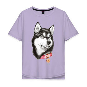 Мужская футболка хлопок Oversize с принтом Маламут в Петрозаводске, 100% хлопок | свободный крой, круглый ворот, “спинка” длиннее передней части | аляска | карандаш | маламут | рисунок | собака | хаски