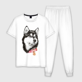 Мужская пижама хлопок с принтом Маламут в Петрозаводске, 100% хлопок | брюки и футболка прямого кроя, без карманов, на брюках мягкая резинка на поясе и по низу штанин
 | аляска | карандаш | маламут | рисунок | собака | хаски