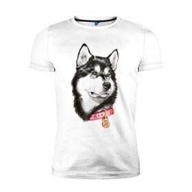 Мужская футболка премиум с принтом Маламут в Петрозаводске, 92% хлопок, 8% лайкра | приталенный силуэт, круглый вырез ворота, длина до линии бедра, короткий рукав | аляска | карандаш | маламут | рисунок | собака | хаски