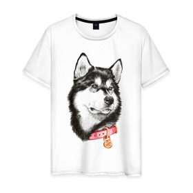 Мужская футболка хлопок с принтом Маламут в Петрозаводске, 100% хлопок | прямой крой, круглый вырез горловины, длина до линии бедер, слегка спущенное плечо. | аляска | карандаш | маламут | рисунок | собака | хаски