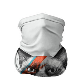 Бандана-труба 3D с принтом Grumpy cat (David Bowie) в Петрозаводске, 100% полиэстер, ткань с особыми свойствами — Activecool | плотность 150‒180 г/м2; хорошо тянется, но сохраняет форму | бодиарт | грумпи | дэвид боуи | злой кот | интернет | котей | котик | кошка | мем | мемас | мемчик. | молния на лице | рисунок на лице | сердитый