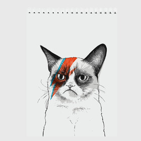 Скетчбук с принтом Grumpy cat (David Bowie) в Петрозаводске, 100% бумага
 | 48 листов, плотность листов — 100 г/м2, плотность картонной обложки — 250 г/м2. Листы скреплены сверху удобной пружинной спиралью | бодиарт | грумпи | дэвид боуи | злой кот | интернет | котей | котик | кошка | мем | мемас | мемчик. | молния на лице | рисунок на лице | сердитый