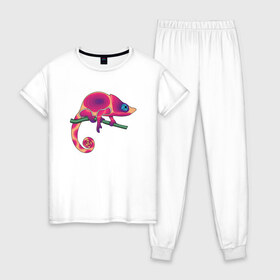 Женская пижама хлопок с принтом Хамелеон в Петрозаводске, 100% хлопок | брюки и футболка прямого кроя, без карманов, на брюках мягкая резинка на поясе и по низу штанин | hameleon | животные | хамелеон | ящер | ящерица