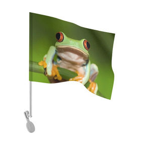 Флаг для автомобиля с принтом Лягушка в Петрозаводске, 100% полиэстер | Размер: 30*21 см | frog | жаба | животные | зеленый | ква | лягуха | лягушка | лягушонок