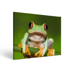 Холст прямоугольный с принтом Лягушка в Петрозаводске, 100% ПВХ |  | Тематика изображения на принте: frog | жаба | животные | зеленый | ква | лягуха | лягушка | лягушонок