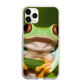 Чехол для iPhone 11 Pro матовый с принтом Лягушка в Петрозаводске, Силикон |  | Тематика изображения на принте: frog | жаба | животные | зеленый | ква | лягуха | лягушка | лягушонок