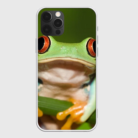 Чехол для iPhone 12 Pro с принтом Лягушка в Петрозаводске, силикон | область печати: задняя сторона чехла, без боковых панелей | frog | жаба | животные | зеленый | ква | лягуха | лягушка | лягушонок