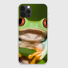 Чехол для iPhone 12 Pro Max с принтом Лягушка в Петрозаводске, Силикон |  | Тематика изображения на принте: frog | жаба | животные | зеленый | ква | лягуха | лягушка | лягушонок